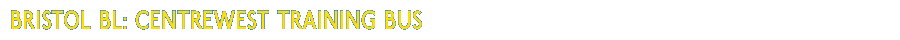 Bristol BL Trainer